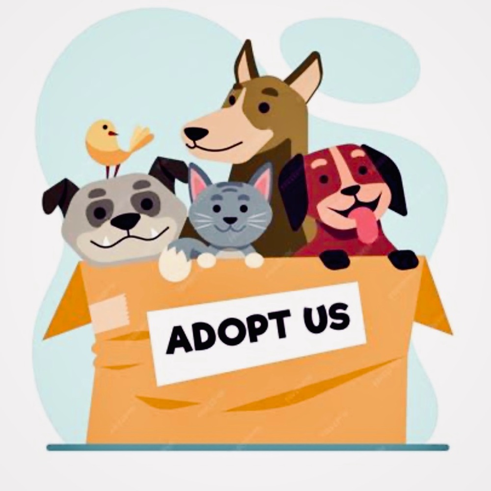 Adopt or Foster a Pet